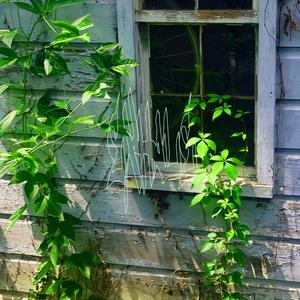 STRESS (feat. gav.n)