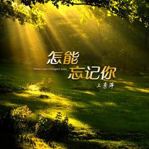 怎能忘记你-王秀萍
