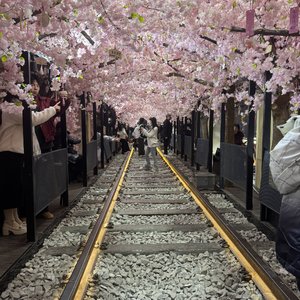 Powerful Dramatic Trailer