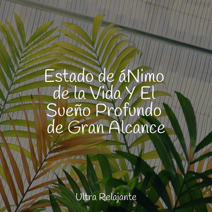 Interconectados
