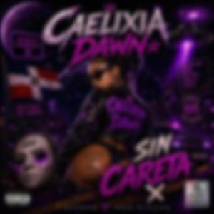 Modo Calle Sin Parar