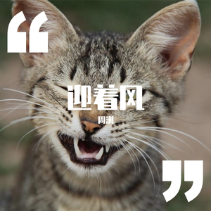 迎着风（翻自 蓝波）