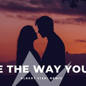 Love The Way You Lie (Remix)