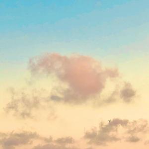 有可能的夜晚（片段）（翻自 曾轶可）