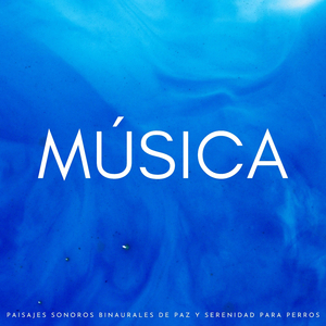 Solemne Y Binaural