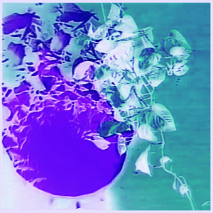 Spoke Microtonal