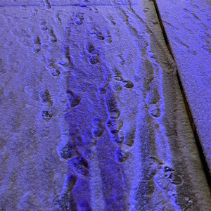 如果可以（热播）