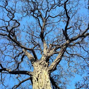 Real talk(Prod.Sleepless Beats)