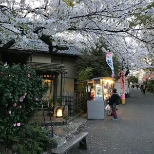 河山万里 愿与君同守