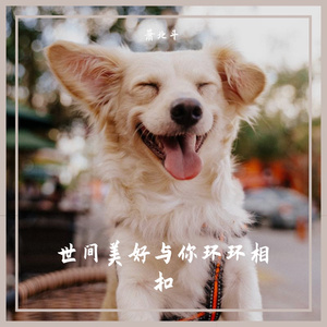 世间美好与你环环相扣