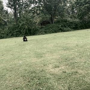 rangers (feat. juubanzz)