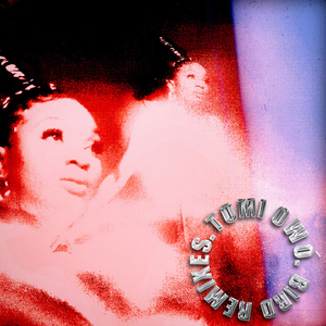 Bird (Ambient Lofi Remix)