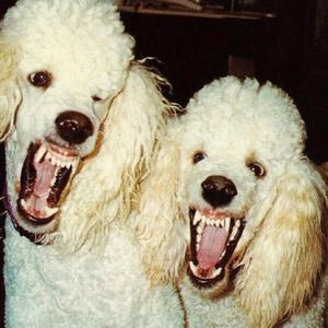 BENTLY SPUR (feat. Zukenee & Sk8star)