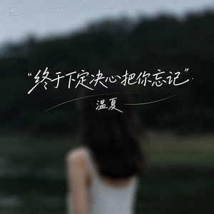 终于下定决心把你忘记