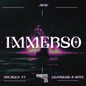 IMMERSO