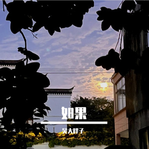 如果（demo）