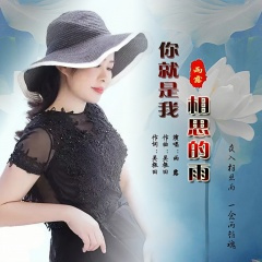 你就是我相思的雨