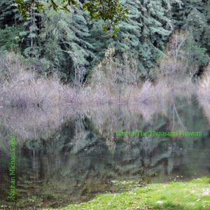 City of The Thousand Flowers