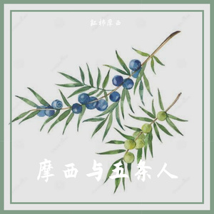 鲜花在岸上开