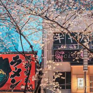 圈子（FRESH-ye）