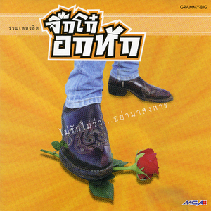 ฝังไว้ในผืนดิน