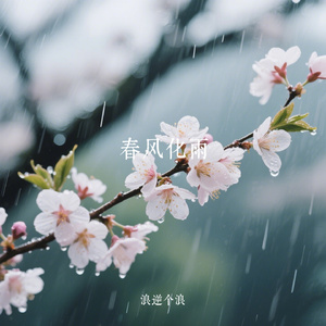 春风化雨