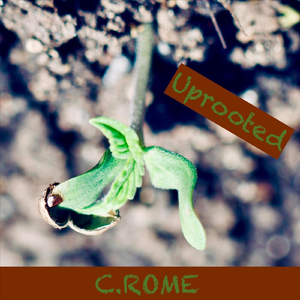 Uprooted