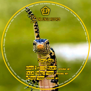 Know Now (Original Mix)