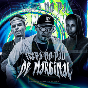 TREPA NO PAU DE MARGINAL