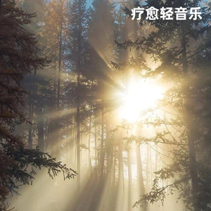 瑜伽冥想放松纯音乐・脊柱挺直的力量