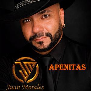 Apenitas