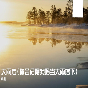 大雨后(你会记得我吗当大雨落下）
