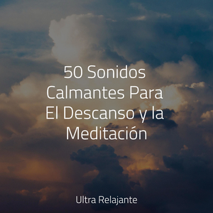 En Control