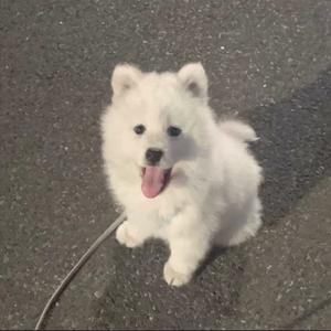 家给我的快乐是城堡