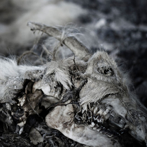 Our Way to the Ground