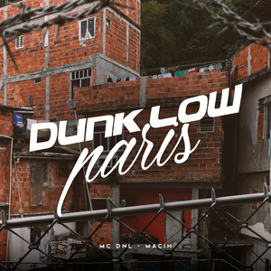 Dunk Low Paris