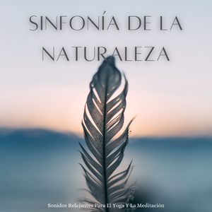 La Armonía De Los Elementos Inspira El Yoga