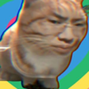 阳光开朗听泉猫