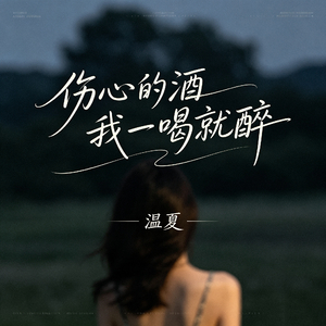 伤心的酒我一喝就醉