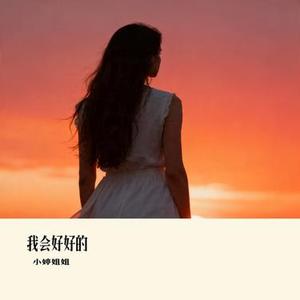 我会好好的 (Remix)