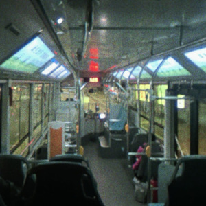 我没有死在这个冬天