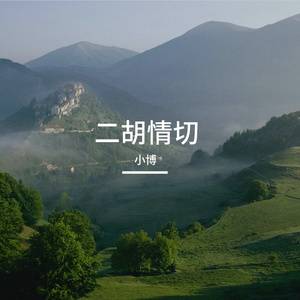 二胡情切