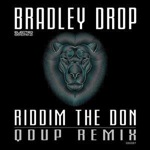 Riddim The Don (Qdup Remix)