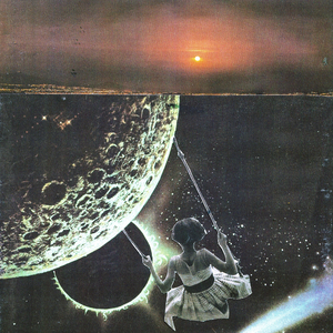 The Night We Saw the Sun