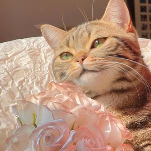 再也不会有人会比我更爱你