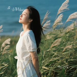 晚风叩窗