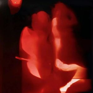 Plan B(prod.RoyalBoyBrazy)