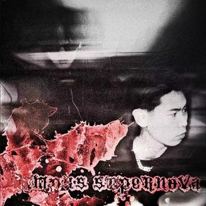 校园超新星Campus supernova