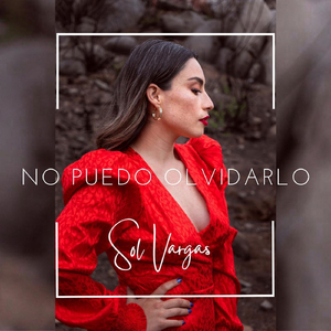No Puedo Olvidarlo