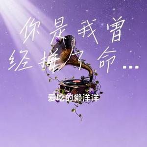 你是我曾经拼了命爱过的人 (Remix)